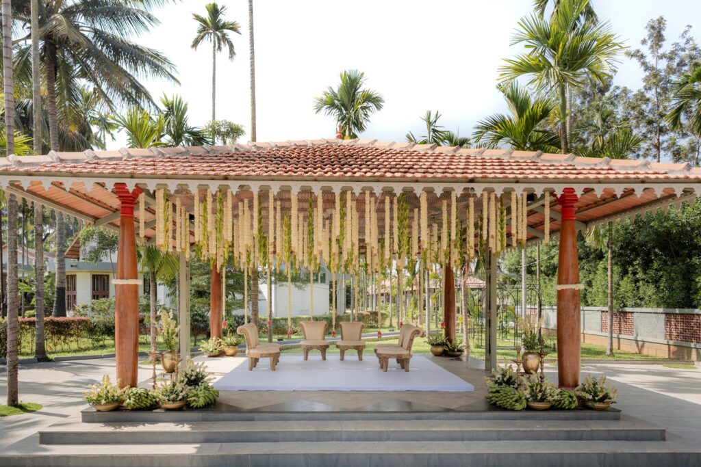 mangotree photographyd1 15