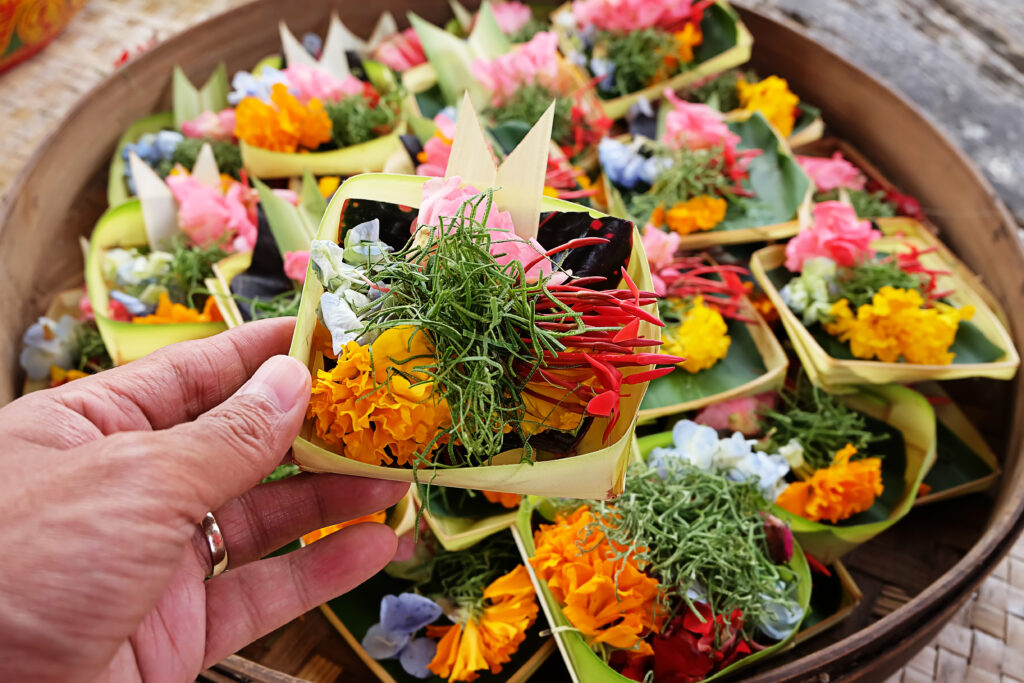 close up hand holding flowers container
